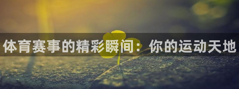 体育赛事的精彩瞬间：你的运动天地