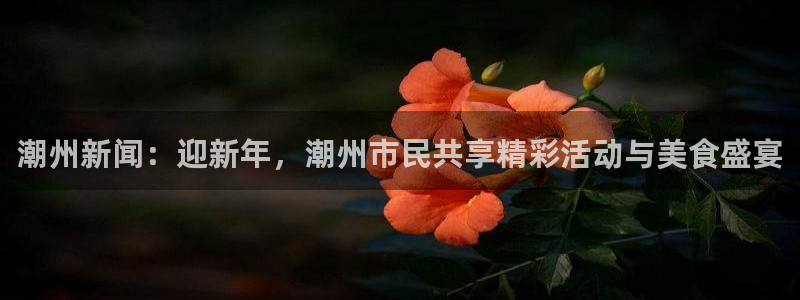 潮州新闻：迎新年，潮州市民共享精彩活动与